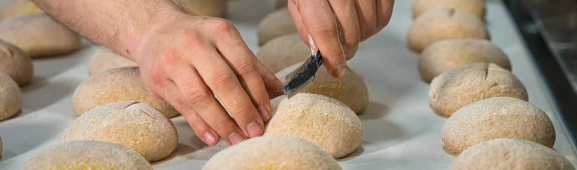 Mi primera panaderia