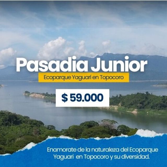 Pasadia Junior