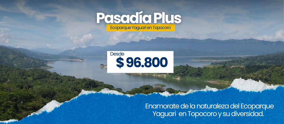 Banner con información sobre la pasadía a Topocoro