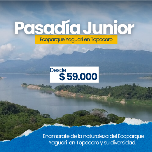 Pasadía Junior