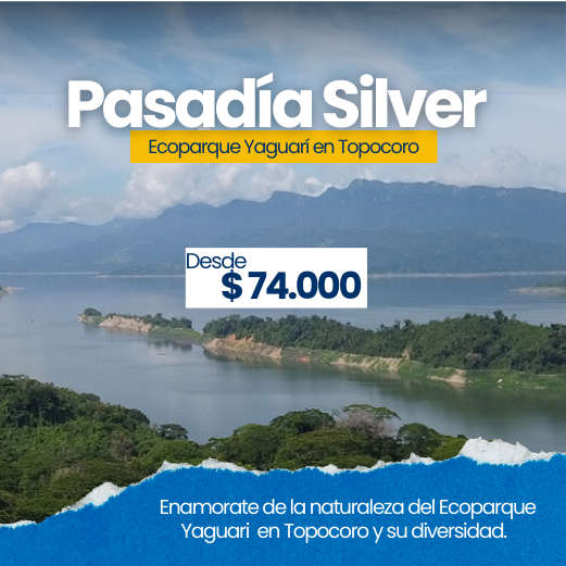 Pasadía Silver