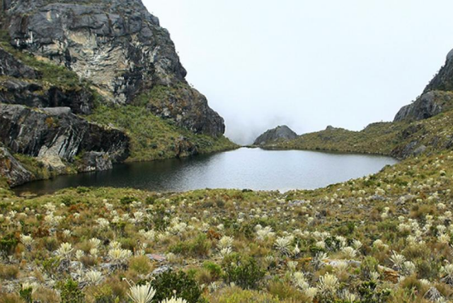 Paramo de Santurban