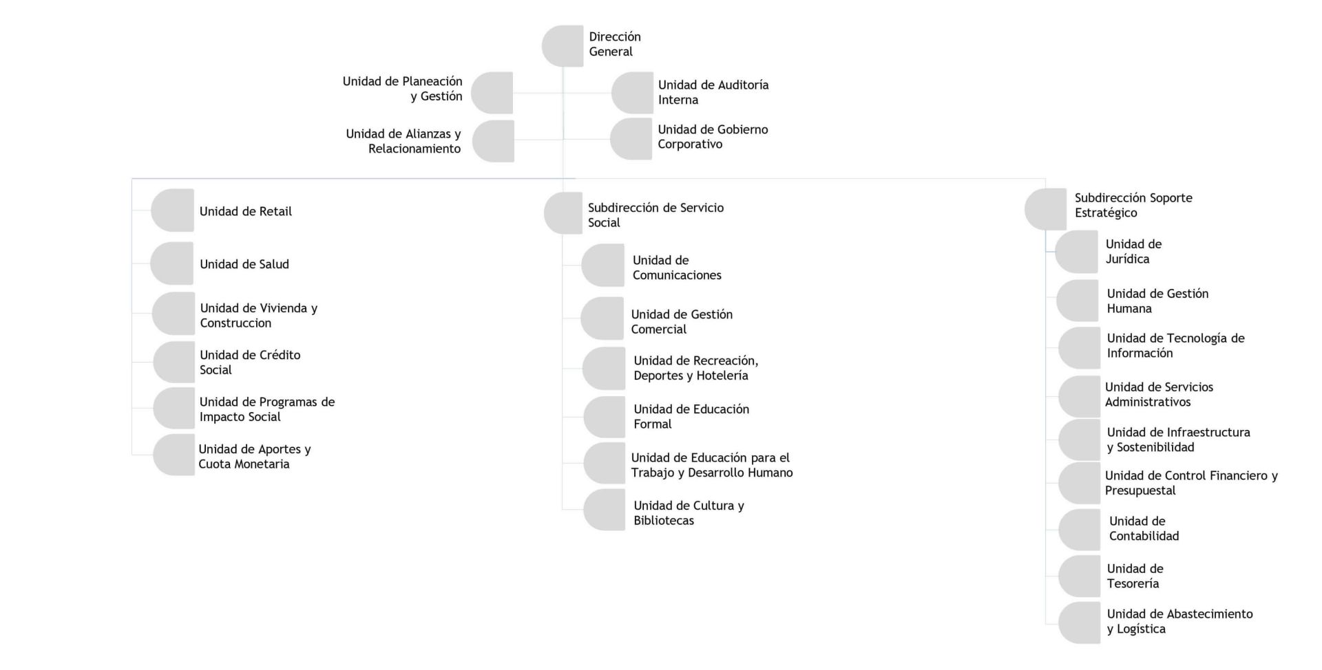 estructura organizacional de cajasan