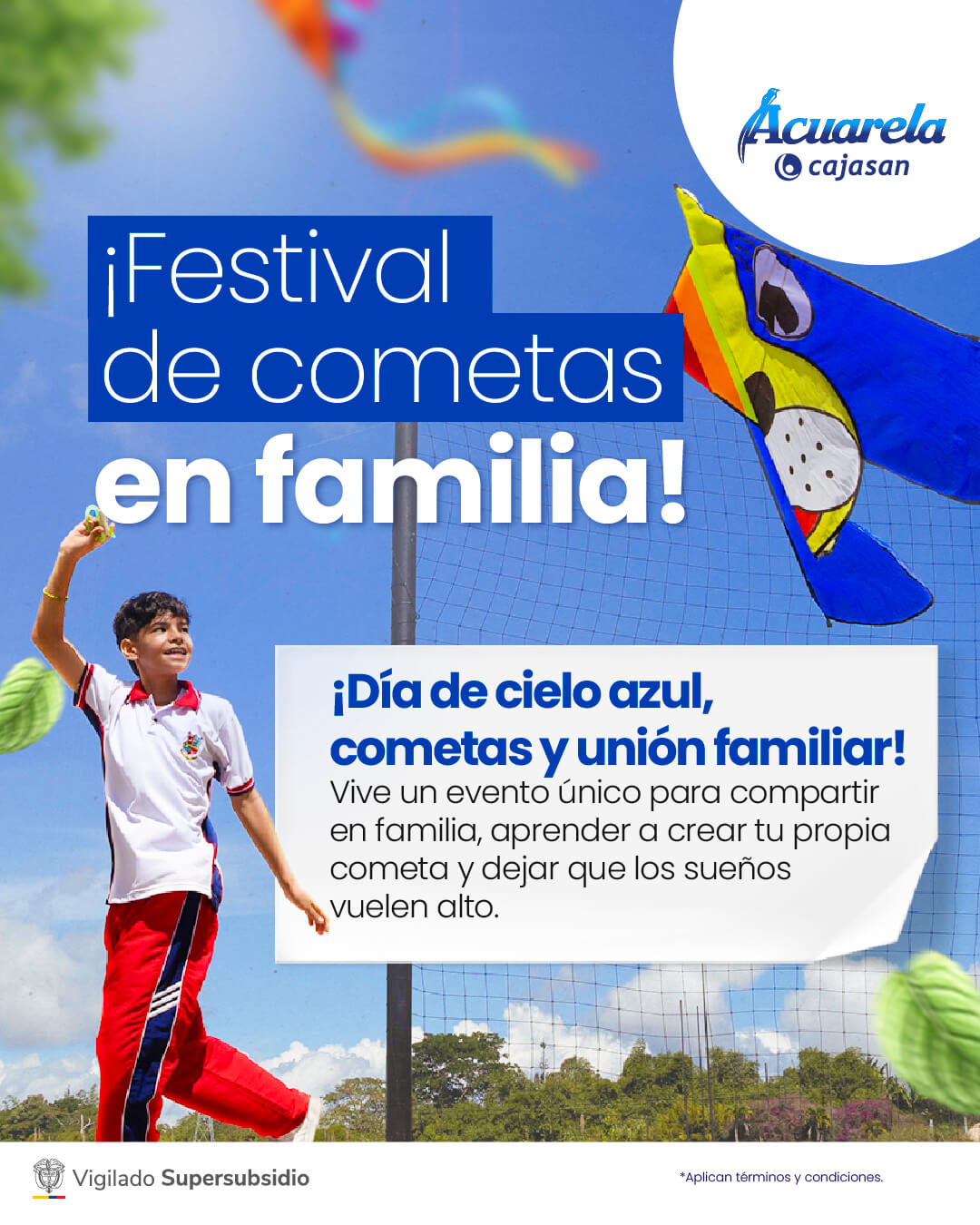 Festival de Cometas