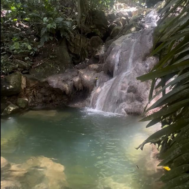imagen de cascada en naturaleza topocoro