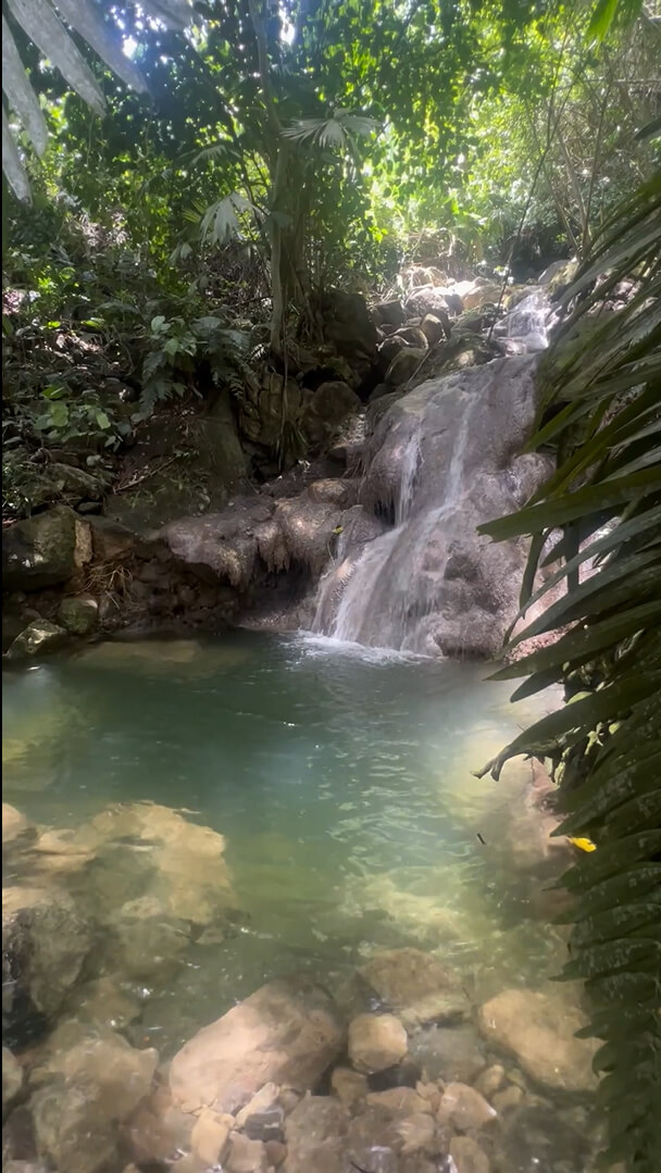 imagen de cascada en naturaleza topocoro