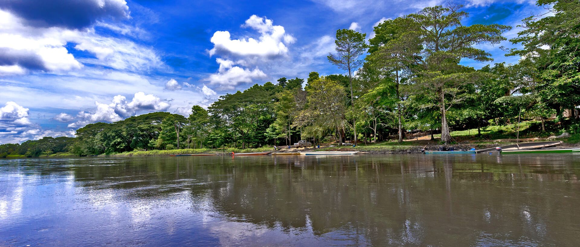 fotografia cimitarra