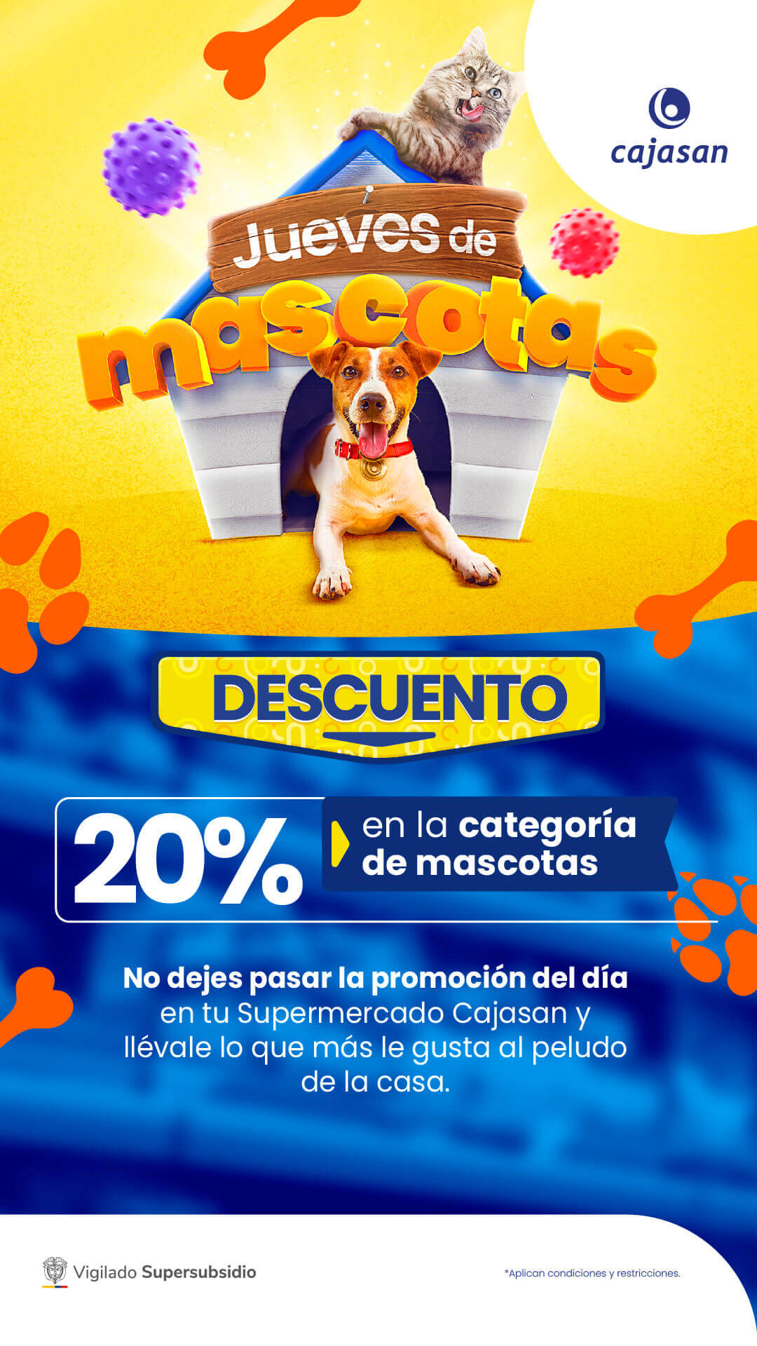 Jueves de mascotas en Cajasan: 20% de descuento en productos para el cuidado de tu perro o gato