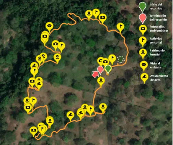 Ruta Senderismo Jovenes