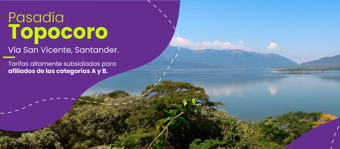 Banner con información sobre la pasadía a Topocoro